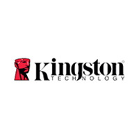 Kingston по интернету