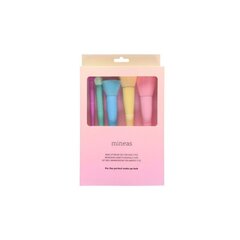 Mineas jumestuspintslite komplekt, 5 tk 635262 price and information | Makeup brushes and makeup sponges | hansapost.ee