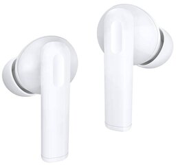 Honor Choice Earbuds X5 White цена и информация | Наушники | hansapost.ee