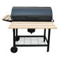 Grill 76х40 cm hind ja info | Grillid | hansapost.ee