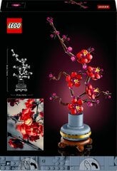 10369 LEGO® Botanical Collection Цветы сливы, 327 дет. цена и информация | Конструкторы и кубики | hansapost.ee