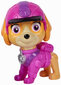 Paw Patrol Jungle Pups Skye Spin Master mängulennuk ja figuurikomplekt цена и информация | Mänguasjad poistele | hansapost.ee