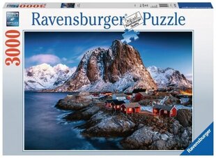 Hamnoy mägipusle Ravensburger, 3000 tk hind ja info | Pusled lastele ja täiskasvanutele | hansapost.ee