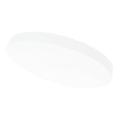 Потолочный белый светодиодный светильник Boston 2x48W цена и информация | Потолочные светильники | hansapost.ee