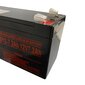 Aku NPP 12V 7.2Ah цена и информация | Autoakud | hansapost.ee