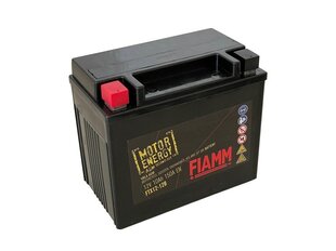 Aku Fiamm Amg, 12 V hind ja info | Autoakud | hansapost.ee