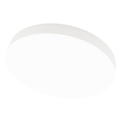 Boston 2x36W потолочный белый светодиодный светильник цена и информация | Потолочные светильники | hansapost.ee