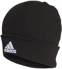 Вязаная шапка Adidas Logo Woolie Black цена и информация | Мужские шарфы, шапки, перчатки | hansapost.ee