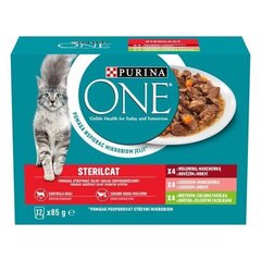 Стерильная кошка Purina One с говядиной, лососем и индейкой, 12 x 85 г цена и информация | Кошачьи консервы | hansapost.ee