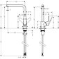 HANSGROHE Focus m41 ühe hoovaga köögisegisti 280, 1 otsik 31817000 цена и информация | Köögisegistid | hansapost.ee