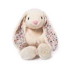 Mänguasi Whisbear jänes Lumi või funktsioonid/lamp 45616 hind ja info | Whisbear Laste mänguasjad alates 3.a | hansapost.ee