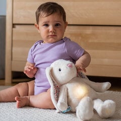 Mänguasi Whisbear jänes Lumi või funktsioonid/lamp 45616 hind ja info | Whisbear Laste mänguasjad alates 3.a | hansapost.ee