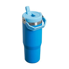 Stanley termokruus IceFlow Flip Straw, 890 ml hind ja info | Termosed ja termokruusid | hansapost.ee