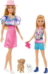 Kaks Barbie-nukku koos tarvikutega Mattel, HRM09, roosa/sinine, 10 tk price and information | Toys for girls | hansapost.ee