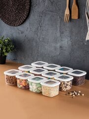 Fremont toidu säilituskonteinerite komplekt Foly Square, 550 ml, 12 tk цена и информация | Контейнеры для хранения продуктов | hansapost.ee