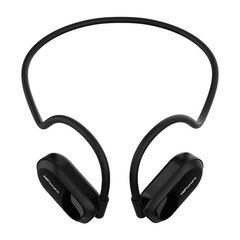 Headphones HiFuture FutureMate (black) цена и информация | Наушники | hansapost.ee