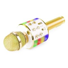 Laste karaokemikrofon kõlariga RoGer, WS-858L hind ja info | Arendavad laste mänguasjad | hansapost.ee