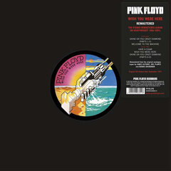 Pink Floyd - Wish You Were Here, LP, vinüülplaat, 12&quot; vinyl record hind ja info | Vinüülplaadid, CD, DVD | hansapost.ee