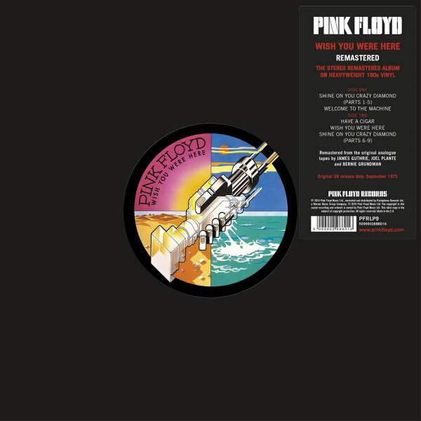 Pink Floyd - Wish You Were Here, LP, vinüülplaat, 12&quot; vinyl record цена и информация | Vinüülplaadid, CD, DVD | hansapost.ee