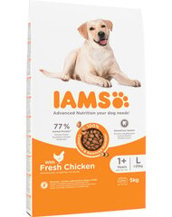 Iams For Vitality Adult для взрослых собак крупных пород с курицей, 5 кг цена и информация | Сухой корм для собак | hansapost.ee