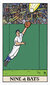 Taro kaardid Tarot of Baseball hind ja info | Esoteerika | hansapost.ee