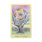 Taro kaardid Dream Raven Tarot hind ja info | Esoteerika | hansapost.ee