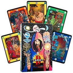 Карты Таро Таро D: The Didactic Tarot цена и информация | Эзотерика | hansapost.ee