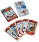 Taro kaardid Shakespearean Tarot hind ja info | Esoteerika | hansapost.ee