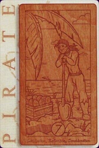 Taro kaardid Pirate Tarot hind ja info | Esoteerika | hansapost.ee