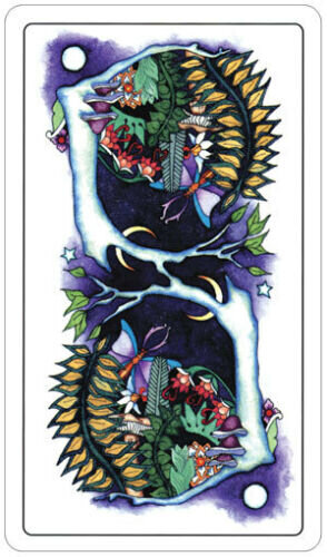 Taro kaardid Tarot Of A Moon Garden hind ja info | Esoteerika | hansapost.ee