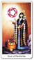 Taro kaardid Tarot Of The Cats hind ja info | Esoteerika | hansapost.ee