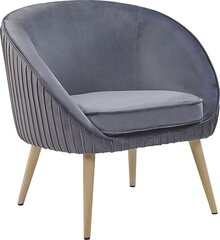 Tugitool Beliani Tromso, hall/pruun price and information | Armchairs | hansapost.ee