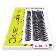 Ripsmetutid Clavier DU2O Double Volume MIX 8mm-10mm-12mm price and information | Accessories for beauty and hygiene equipment | hansapost.ee