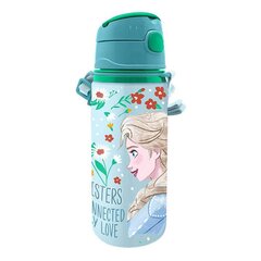 Water bottle 600 ml Frozen KiDS Licensing цена и информация | Стаканы, фужеры, кувшины | hansapost.ee