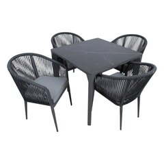 Garden furniture set CARVES table and 4 chairs цена и информация | Комплекты уличной мебели | hansapost.ee