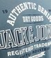 Jack & Jones T-särk meestele 12254862*03, sinine 5715602835695 цена и информация | T-särgid meestele | hansapost.ee