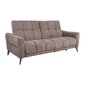 Diivan-recliner Home4you Cathy, 162x100x100 cm, pruun цена и информация | Diivanvoodid ja diivanid | hansapost.ee