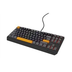 Genesis Thor 230 TKL цена и информация | Клавиатура с игровой мышью 3GO COMBODRILEW2 USB ES | hansapost.ee