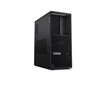 Lenovo ThinkStation P3 Tower (30GS000UPB) цена и информация | Lauaarvutid | hansapost.ee