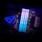 Adata XPG Lancer Blade RGB (AX5U6000C4816G-DTLABRWH) цена и информация | Operatiivmälu | hansapost.ee