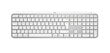 Logitech MX Keys S Pale Gray (920-011638) цена и информация | Klaviatuurid | hansapost.ee