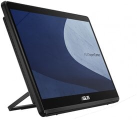 Asus All in One E1600WKAT-BA029M (90PT0391-M00E60) цена и информация | Стационарные компьютеры | hansapost.ee