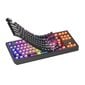 Genesis Thor 230 TKL (NKG-2108) hind ja info | Klaviatuurid | hansapost.ee