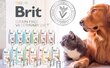 Brit Veterinary Care täiskasvanud kastreeritud igat tõugu koertele lõhe ja hernestega, 2 kg цена и информация | Koerte kuivtoit ja krõbinad | hansapost.ee