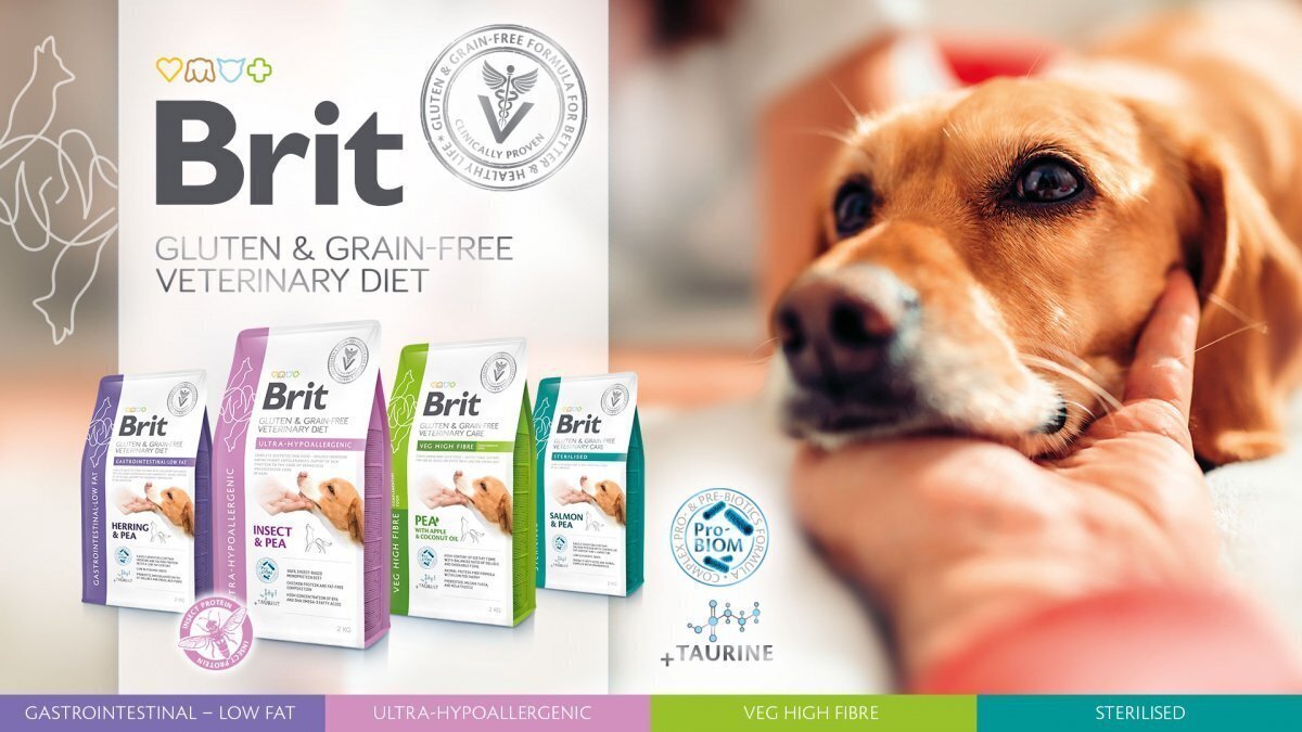 Brit Veterinary Diets Ultra Hypoallergenic putukate ja hernestega täiskasvanud koertele, 2 kg цена и информация | Koerte kuivtoit ja krõbinad | hansapost.ee