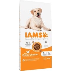 Iams for Vitality Adult kanaga suurt tõugu koertele, 12 kg price and information | Koerte kuivtoit ja krõbinad | hansapost.ee