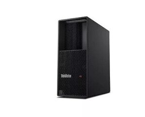 Lenovo ThinkStation P3 Tower (30GS003UPB) hind ja info | Lauaarvutid | hansapost.ee