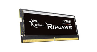 G.Skill Ripjaws (F5-5600S4645A16GX1-RS) цена и информация | Объём памяти (RAM) | hansapost.ee