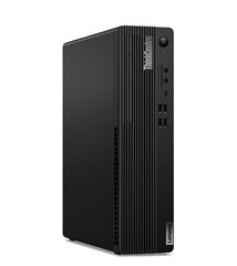 Lenovo ThinkCentre M90s Gen 4 (12HQ0007PB) hind ja info | Lauaarvutid | hansapost.ee