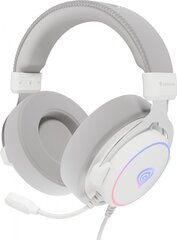 Genesis Neon 764 White (NSG-2170) hind ja info | Generic Arvutid ja IT- tehnika | hansapost.ee